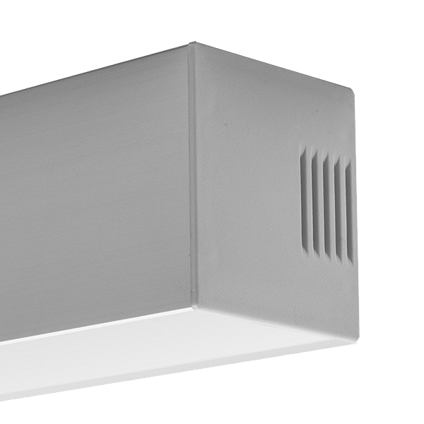 Flex Dual Channel